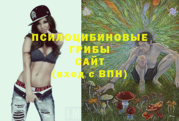 тгк Ростов