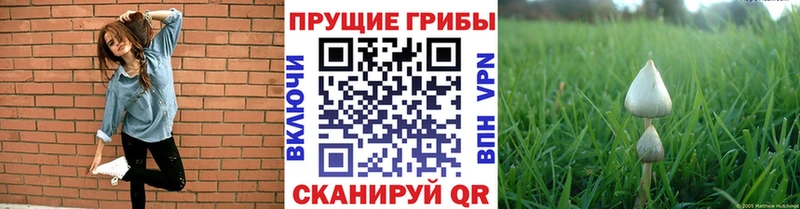 omg как войти  Сибай  Псилоцибиновые грибы Magic Shrooms  наркошоп 